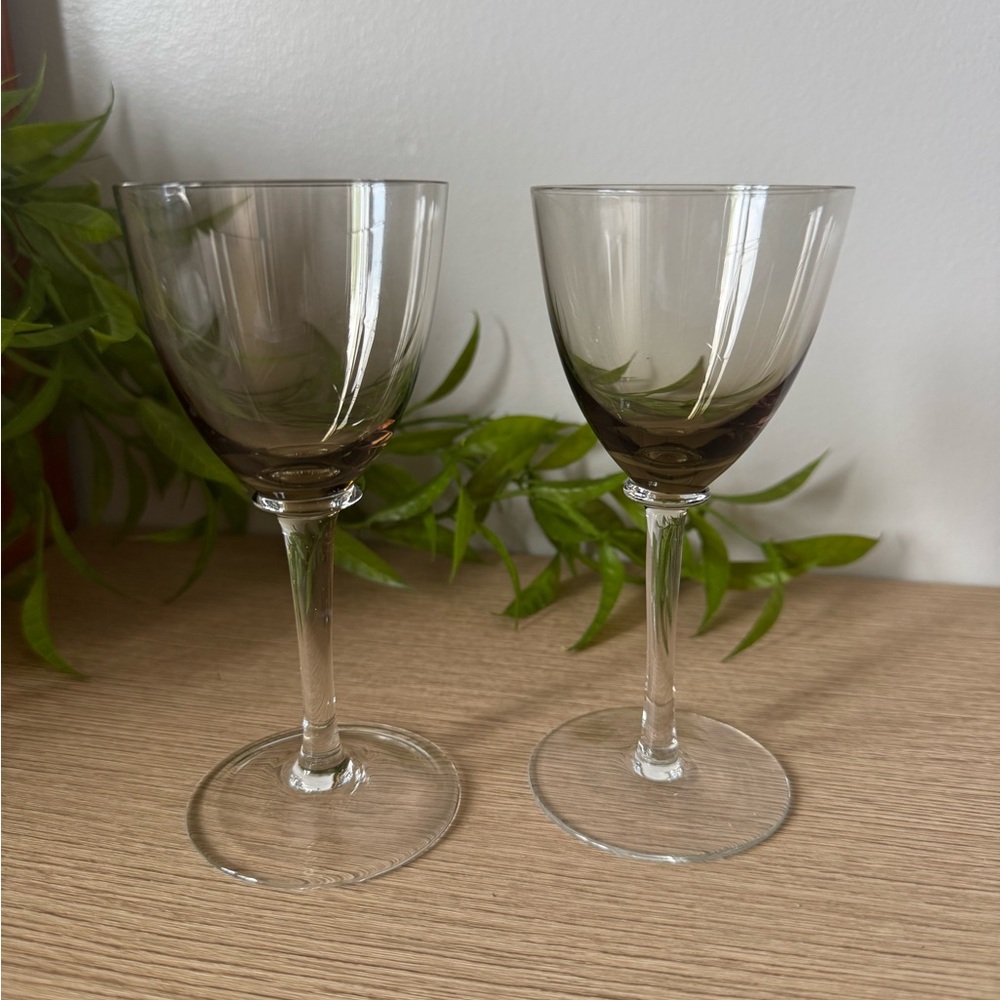 Elegant Smoke Wine Glass Set